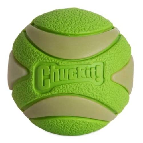 Chuckit! Max Glow Ultra Squeaker Ball, Medium (2.5 Inch Diameter), 1 Pack, For Breeds 20-60 Lbs